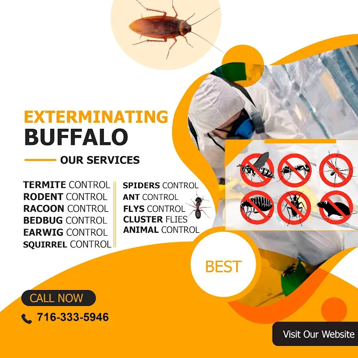 Gam Bed Bug Exterminator Niagara Falls Picture 1