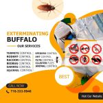 Gam Bed Bug Exterminator Niagara Falls