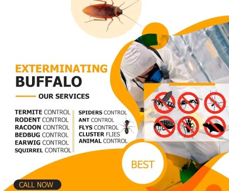 Gam Bed Bug Exterminator Niagara Falls