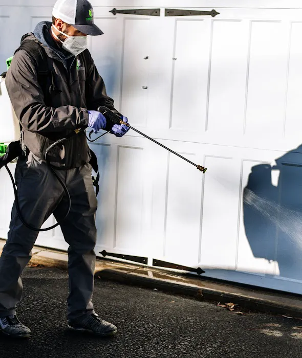 Green Shield Pest Solutions Picture 3