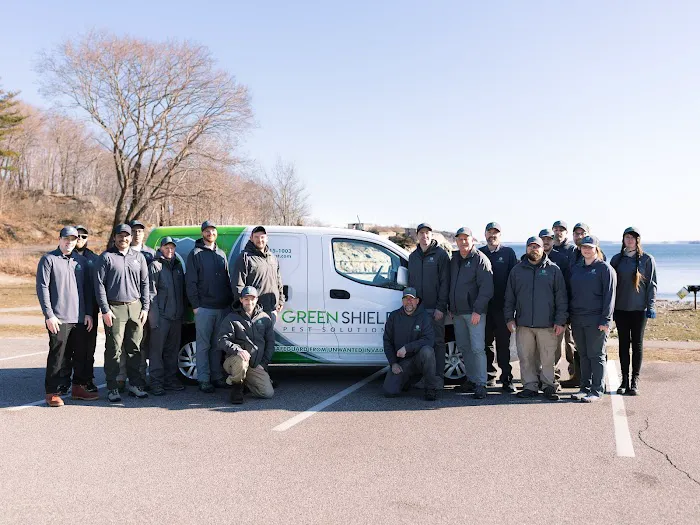 Green Shield Pest Solutions Picture 8