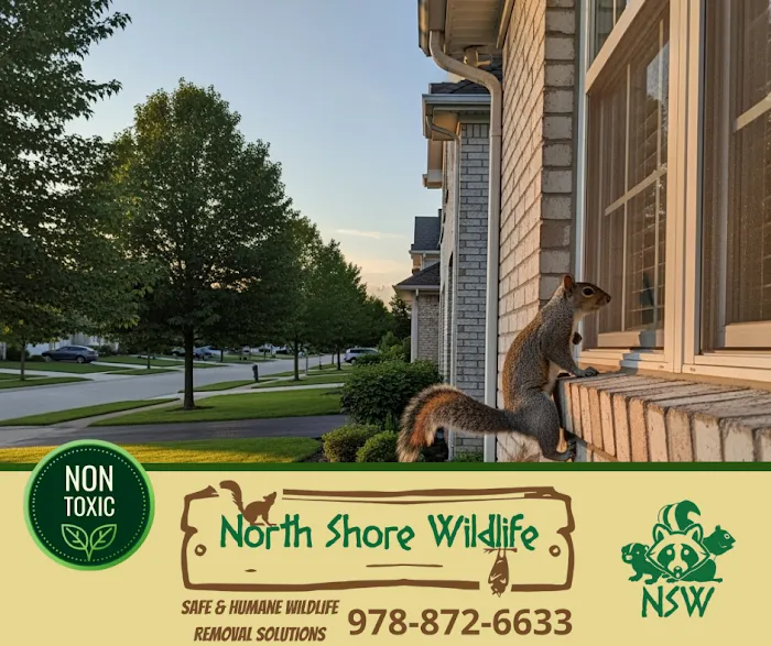 North Shore Wildlife Picture 4