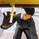 Ehrlich Pest Control