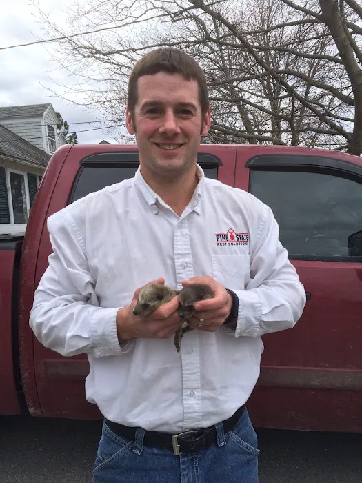 Pine State Pest Solutions Picture 4