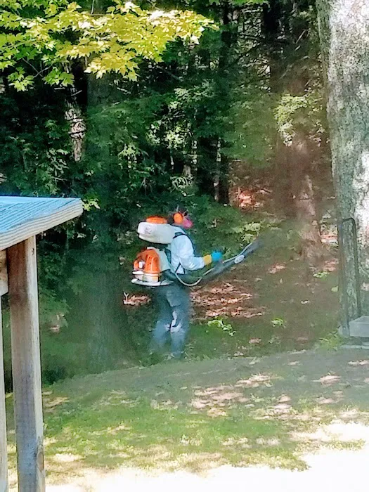 Pine State Pest Solutions Picture 5