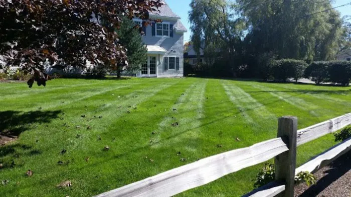 Mainely Grass Picture 7