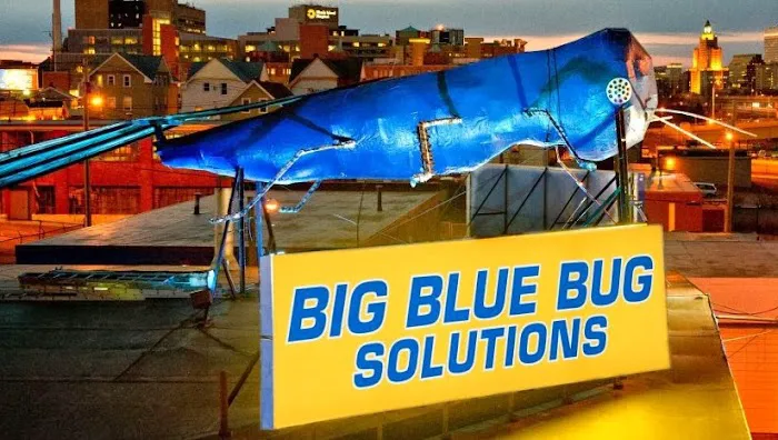 Big Blue Bug Solutions Picture 6