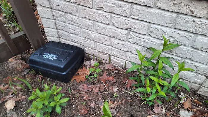Big Blue Bug Solutions Picture 5
