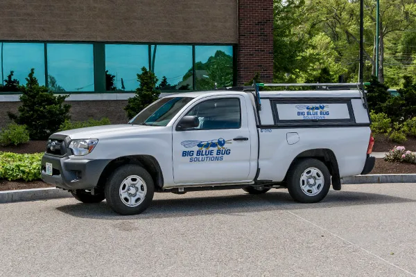 Big Blue Bug Solutions Picture 10