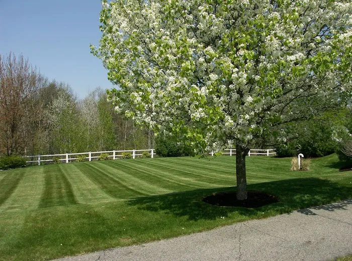 Green Sphere - Lawn Care, Tree & Shrub Care, Tick, Mosquito & Perimeter Pest Control Picture 5