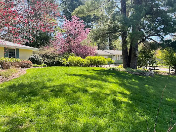Green Sphere - Lawn Care, Tree & Shrub Care, Tick, Mosquito & Perimeter Pest Control Picture 4