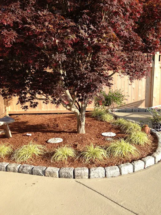 Green Sphere - Lawn Care, Tree & Shrub Care, Tick, Mosquito & Perimeter Pest Control Picture 1
