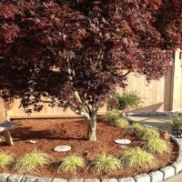 Green Sphere - Lawn Care, Tree & Shrub Care, Tick, Mosquito & Perimeter Pest Control ico