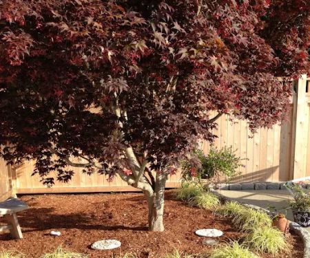 Green Sphere - Lawn Care, Tree & Shrub Care, Tick, Mosquito & Perimeter Pest Control
