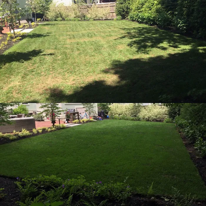 Green Sphere - Lawn Care, Tree & Shrub Care, Tick, Mosquito & Perimeter Pest Control Picture 10
