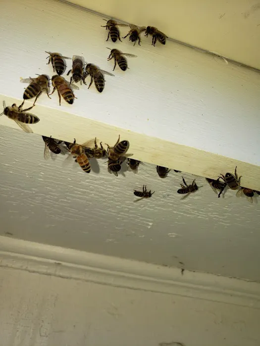 Advantage Pest Control, Inc Picture 6