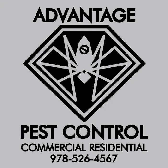 Advantage Pest Control, Inc Picture 4