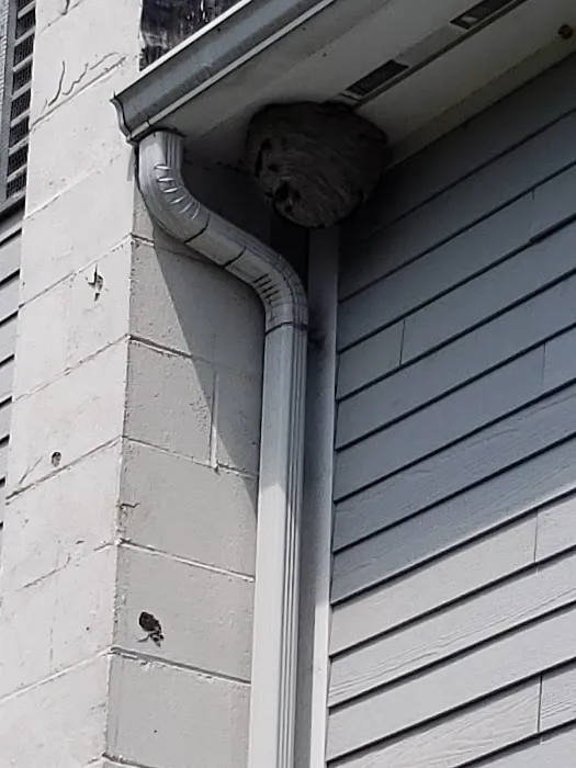 Advantage Pest Control, Inc Picture 7