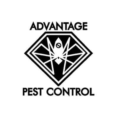 Advantage Pest Control, Inc Picture 9