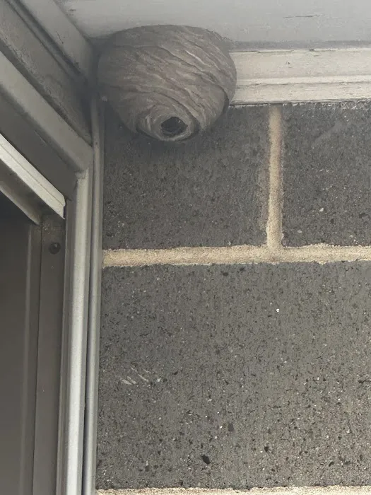 Freedom Pest Control Picture 2