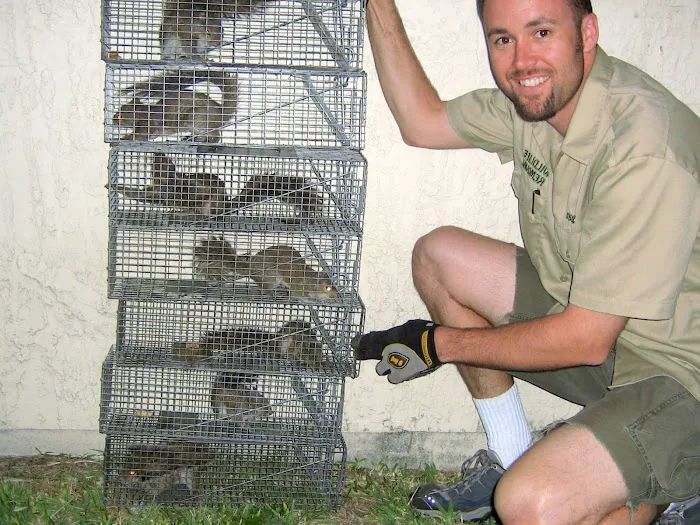 Wildlife Exterminator Baltimore Picture 5