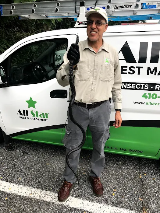 All Star Pest Management Inc Picture 4