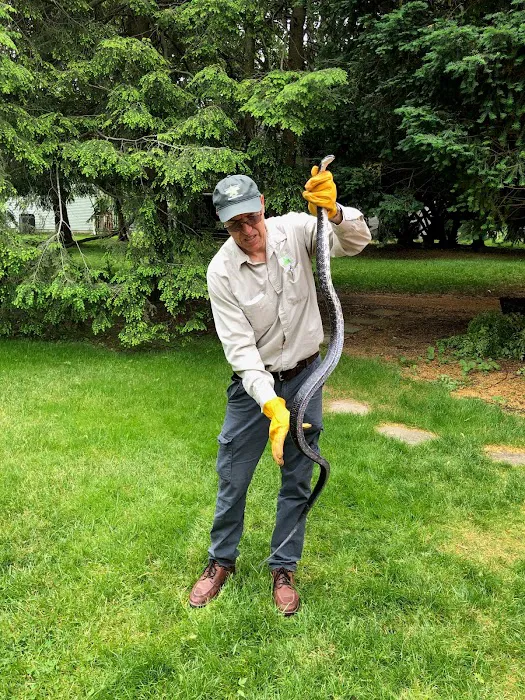 All Star Pest Management Inc Picture 5