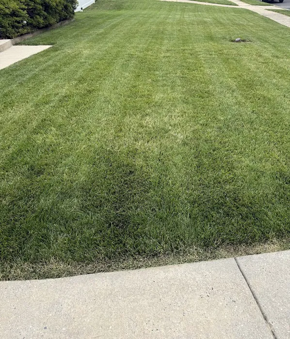 Pro Grass Inc. Picture 10