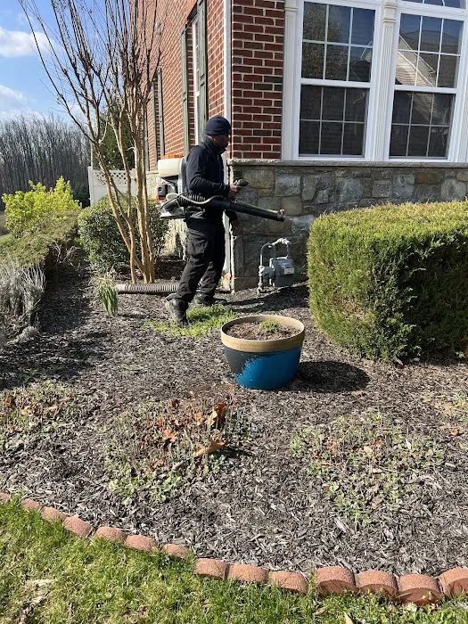 Senate Termite and Pest Control Picture 8