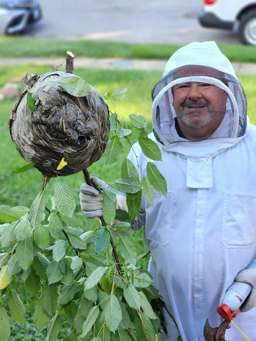 Senate Termite and Pest Control Picture 7