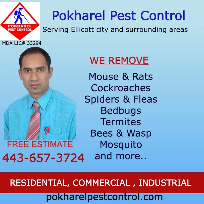 Pokharel Pest Control Picture 3