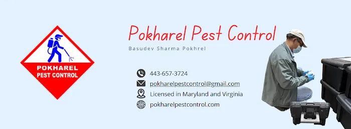 Pokharel Pest Control Picture 6