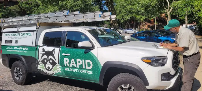 Rapid Wildlife Control Picture 8