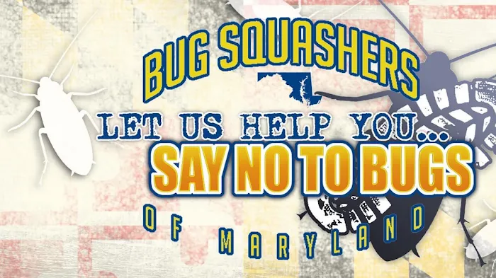 Bug Squashers Pest Control Picture 1