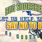 Bug Squashers Pest Control