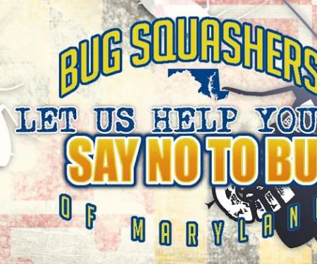Bug Squashers Pest Control