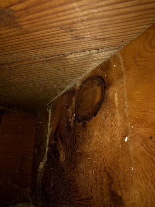 Bug Squashers Pest Control Picture 2
