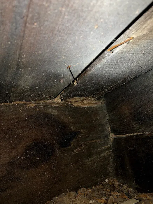 Bug Squashers Pest Control Picture 7
