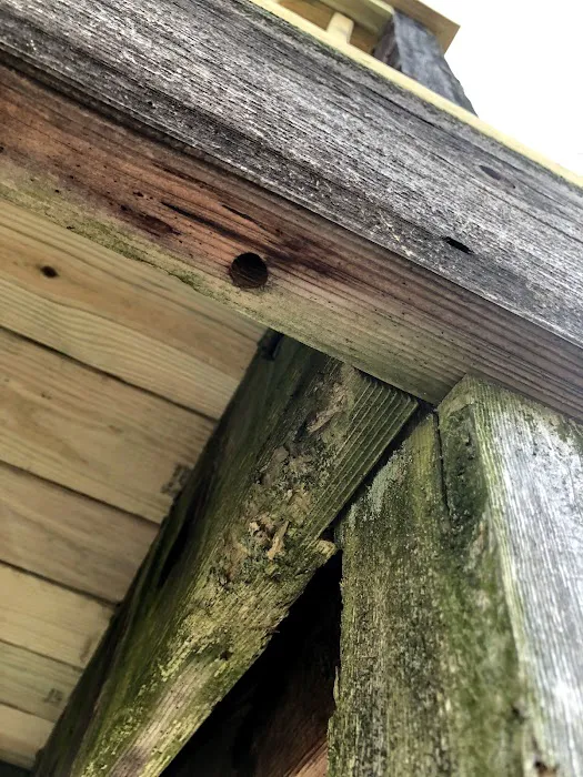 Bug Squashers Pest Control Picture 10