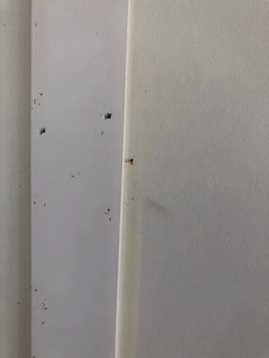 Bug Squashers Pest Control Picture 9