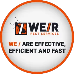 Weir Pest Services Picture 4