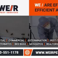 Weir Pest Services ico
