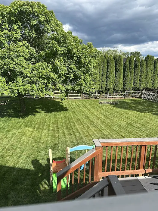 Liqua-Grow Turf Picture 8