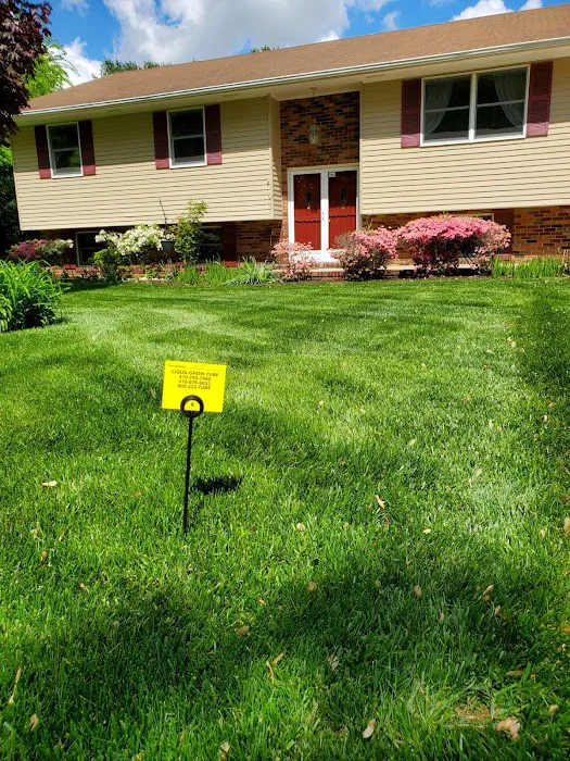 Liqua-Grow Turf Picture 10