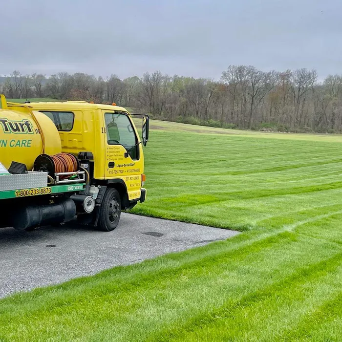 Liqua-Grow Turf Picture 3