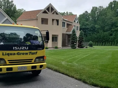 Liqua-Grow Turf Picture 6
