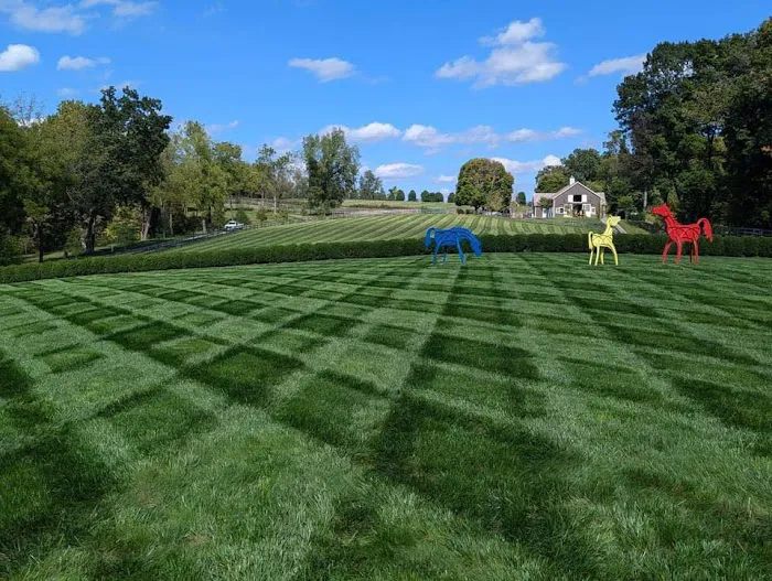 Lawn Doctor of Carroll County - Reisterstown Picture 3