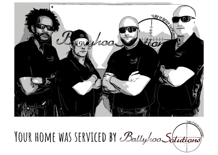 Ballyhoo Solutions LLC Picture 1