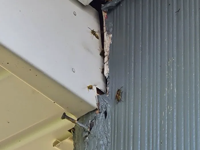 ABLE Pest Control Picture 3