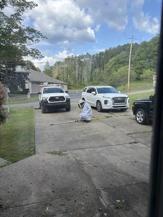 Ehrlich Pest Control Picture 8
